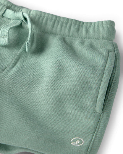 Toddler Boy Knit Shorts Made with Organic Cotton