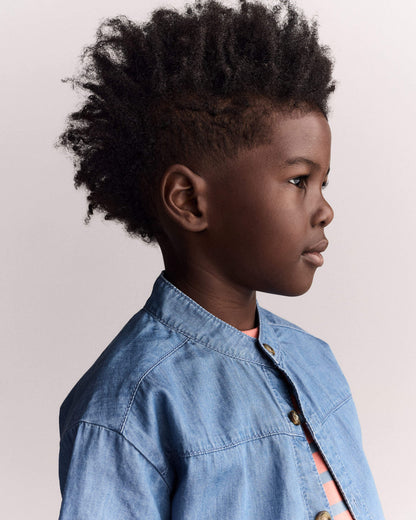 Toddler Boy Mandarin Collar Button-Down Shirt in Chambray