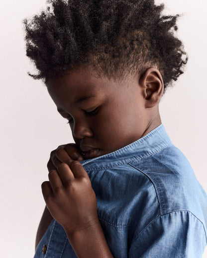 Toddler Boy Mandarin Collar Button-Down Shirt in Chambray
